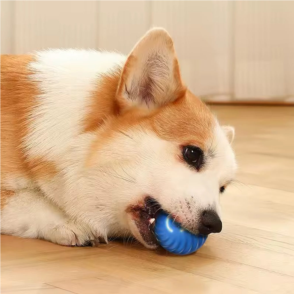 Balle Mobile Intelligente et Solide pour Chien - Chargement USB-C