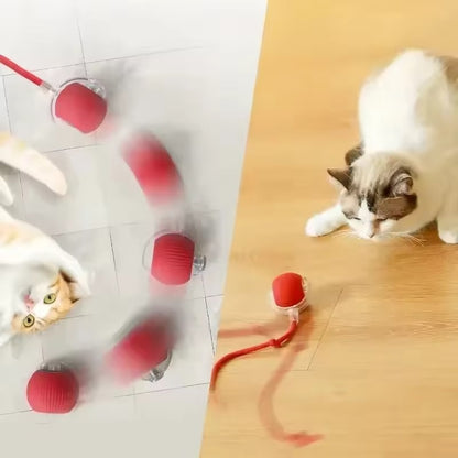 La MagicBall Pro™ - Balle Interactive intelligente et Innovante pour chats
