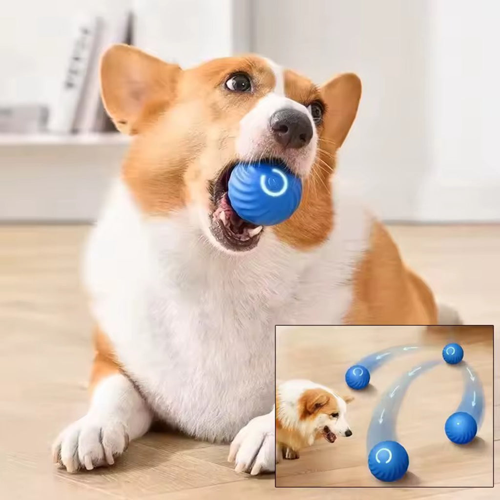 Balle Mobile Intelligente et Solide pour Chien - Chargement USB-C